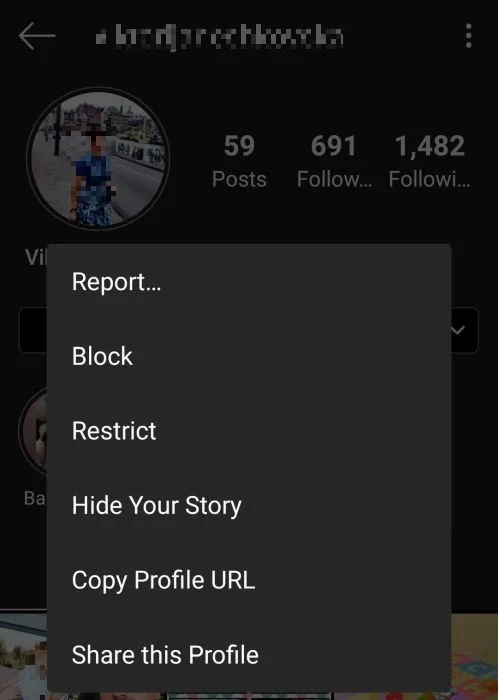 Instagram Anonymous Story Viewer App
