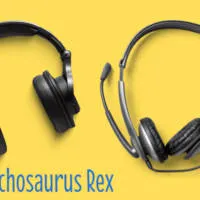 Difference Between Headphone and Headset [Detailed Guide]